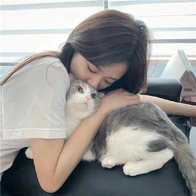 友情以上
