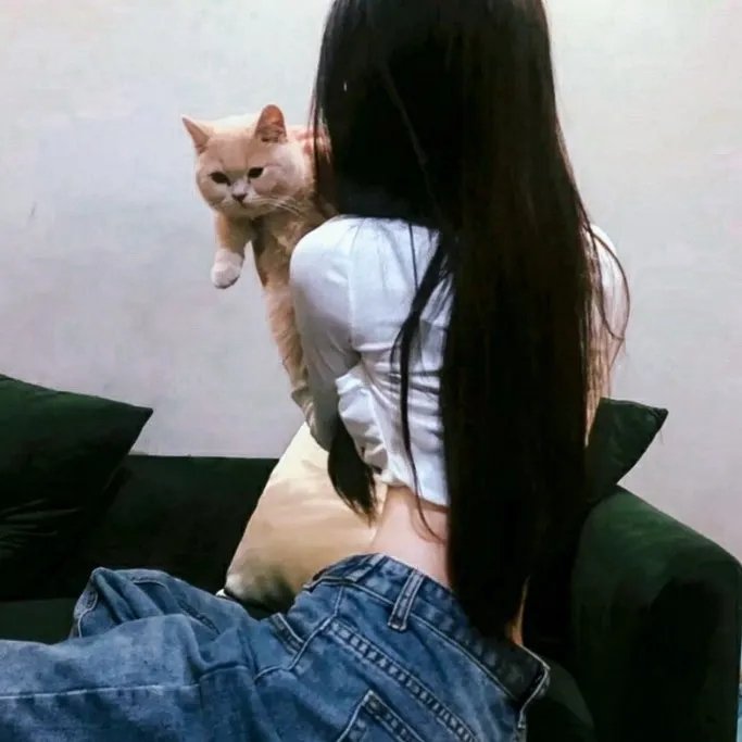 豪情英雄